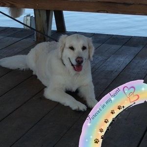 Meet your Posher, Teresa